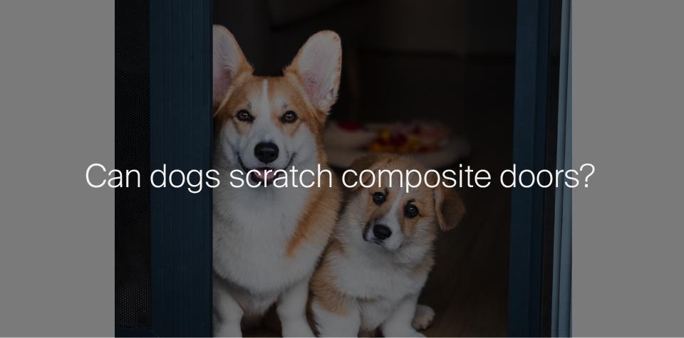 Can Dogs Scratch Composite Doors?
