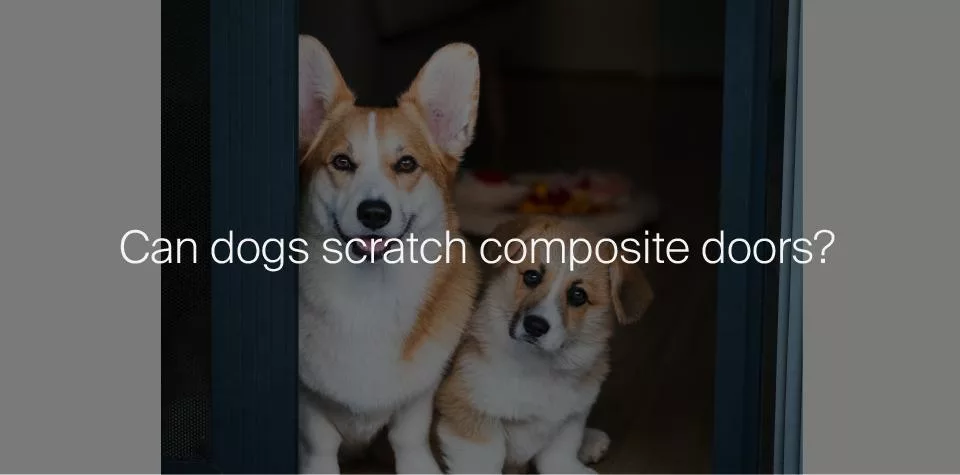 Can dogs scratch composite doors?