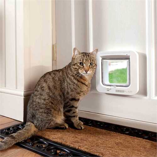 composite door cat flap